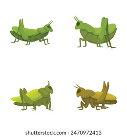 Colorful cartoon grasshopper illustrations set with multiple playful and cheerful insect character designs in various green. Cute. And animated vector positions and postures on a white background