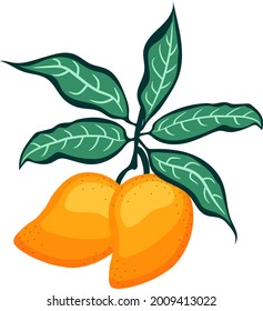 Colorful cartoon hand drawn tropical fruit mango isolated on the white background