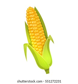 Colorful cartoon illustration of corn on a white background. Vector.