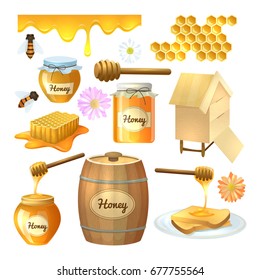 Colorful cartoon illustration, set of honey, organic nature product. Vector