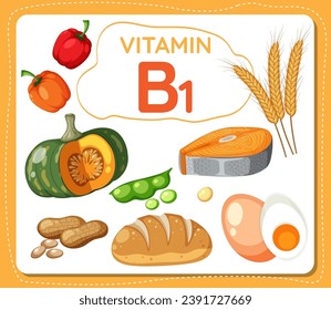 Farbige Cartoon-Illustration mit Vitamin B1-Rahmenbanner mit verschiedenen Obst- und Gemüsesorten