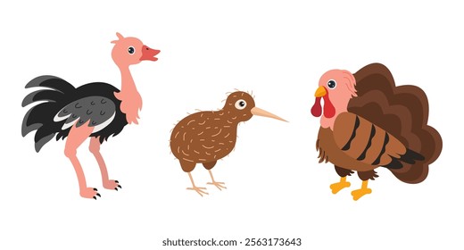 Colorful cartoon representations of diverse birds including an ostrich, kiwi, and turkey