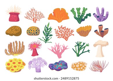 Colorful Cartoon Sea Plants, Corals And Underwater Flora Set Highlights The Diversity Of Marine Life