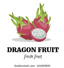 Colorful cartoon style dragon fruit icon. Vector illustration, isolated on white background