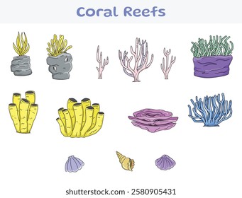 Colorful cartoon-style illustration of coral reefs and seashells. Features various coral types like branching, tubular, and fan-shaped. Perfect for ocean-themed designs or educational projects