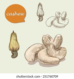 colorful cashew nuts. sketches