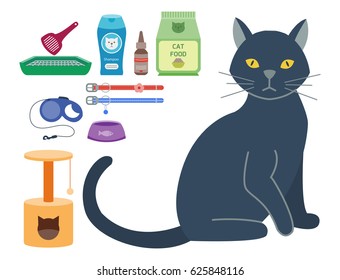 Colorful cat accessory cute vector animal icons pet equipment food domestic feline illustration.
