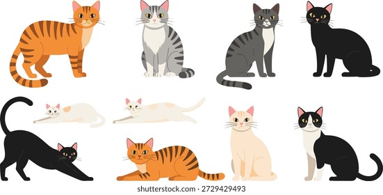 Colorful cat character collection featuring various feline breeds and poses including ginger tabby grey striped black and bicolor cats for pet vector.