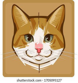 colorful cat head icon on pop art style