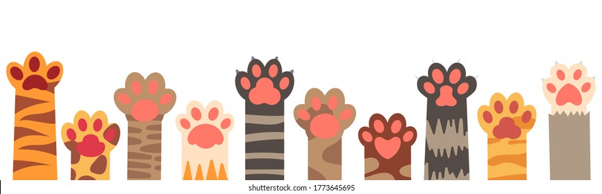 Colorful cat paws set. Cute feline claws with stripes and dots isolated on white background. Domestic animal clutches, furry and clawed pets or kittens footprint in row vector illustration