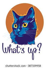 Colorful cat portrait with hand drawn lettering