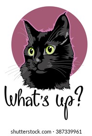 Colorful cat portrait with hand drawn lettering