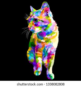 colorful cat sit looking to side with black background