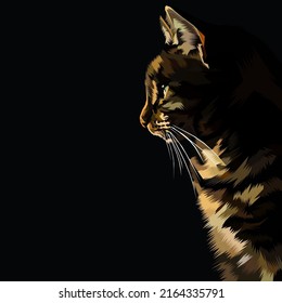 Colorful cat vector art illustration
