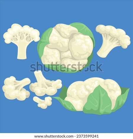 Colorful cauliflower flat set for web design. Cartoon cabbage in leaves and divided into pieces isolated vector illustration collection. Organic food and vegetables concept