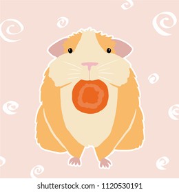 Colorful cavy on pink background. Illustration of cavy with carrot.