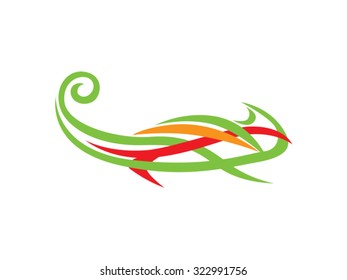 Colorful Chameleon
