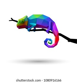 Colorful chameleon, logo concept of creativity and adaptability, low poly style, eps10 vector