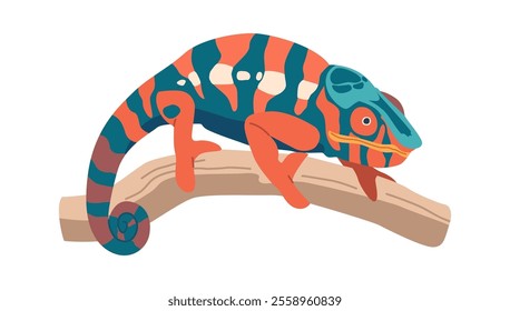 Colorful chameleon reptilian vector illustration