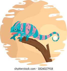  Colorful chameleon sitting on a branch with open mouth