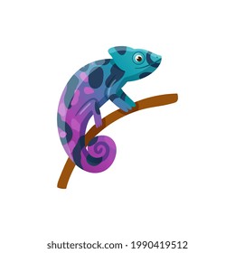 Colorful chameleon sitting on branch. Exotic small lizard reptile, wildlife animal. Flat cartoon vector illustration isolated on white.