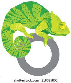 Colorful chameleon vector