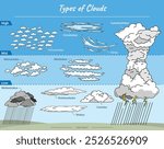 Colorful chart showing different types of clouds by altitude: high, mid, and low. Great for weather education, science lessons, or learning materials related to meteorology and the atmosphere