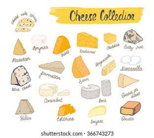 Colorful cheese collection. Vector illustration of cheese types in hand drawn style. Cheese Isolated on white