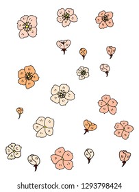 Colorful Cherry blossom for sticker isolate on white background.