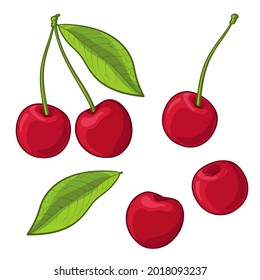 Colorful Cherry in cartoon style. Cherry Set. Vector illustration, isolated on a white background.