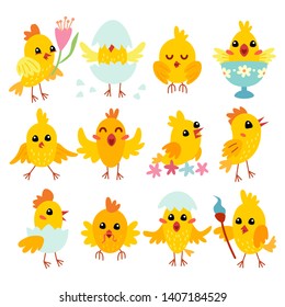Colorful chicken character in cartoon style. Holiday decoration element. Vector illustration. Holiday greeting card. Easter chicks. Happy easter.