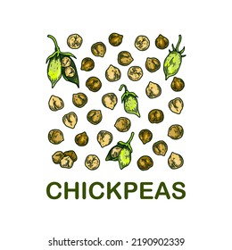 Colorful chickpeas design. Hand drawn illustration in colored sketch style. Botany design for packaging, label, banner, logo