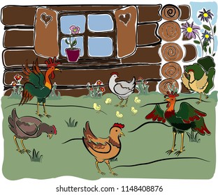 Colorful chikens in the backyard