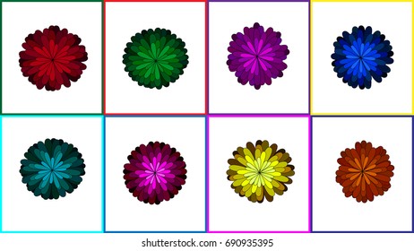 Colorful Of Chrysanthemum Vector