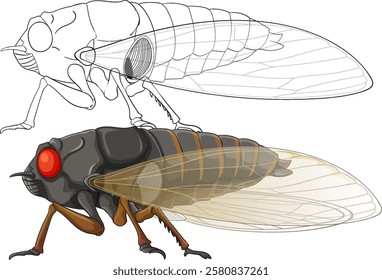 Colorful cicada with anatomical line drawing overlay