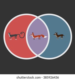 Colorful circles cross-section with flat illustrations about fox, cat and dog