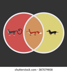 Colorful circles cross-section with flat illustrations about fox, cat and dog