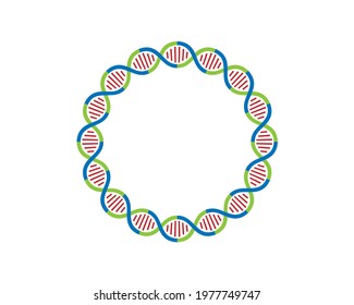 Colorful Circular Dna Strands Loop 16 Stock Vector (Royalty Free ...