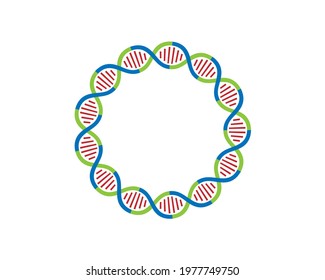 Colorful Circular DNA Strands Loop 13 Parts	
