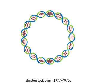 Colorful Circular DNA Strands Loop 17 Parts	
