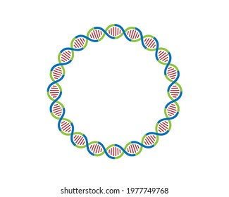 Colorful Circular Dna Strands Loop 20 Stock Vector (Royalty Free ...