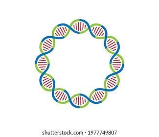 colorful circular DNA strands Loop 12 parts	
