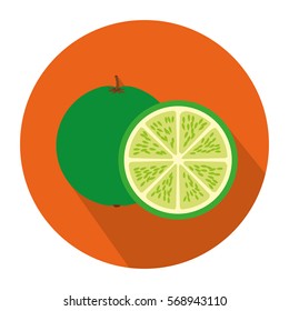 colorful circular shape with lemon fruit and slice