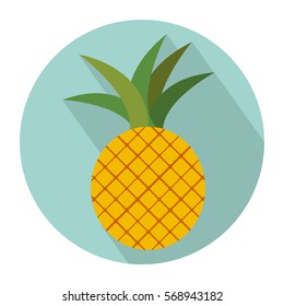 colorful circular shape with pineapple fruit