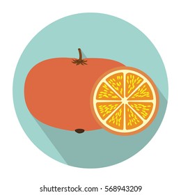 colorful circular shape with tangerine fruit and slice