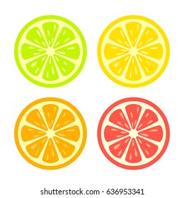 Colorful citrus round slice icon set vector eps web illustration isolated on white background