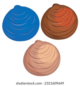 colorful clam seashells, vector illustration.