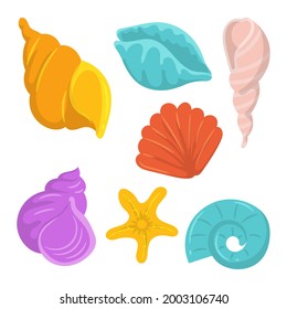 Colorful clams shell collections, simple flat design, isolated on white background
