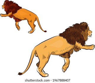 Colorful climbing lion. Cartoon style