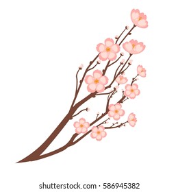 Colorful close up sakura branch isolated on white. Spring symbolic japanese cherry flower growing on small trees. Vector flat illustration of branch with many little blooming pink sakura flowers